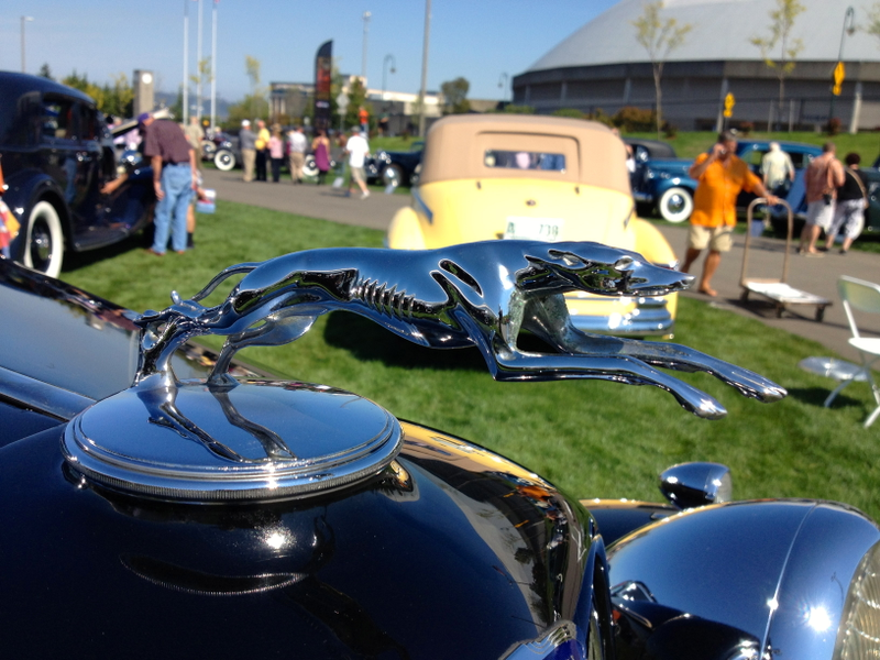 Illustration for article titled Detail Photo Dump from Kirkland Concours!